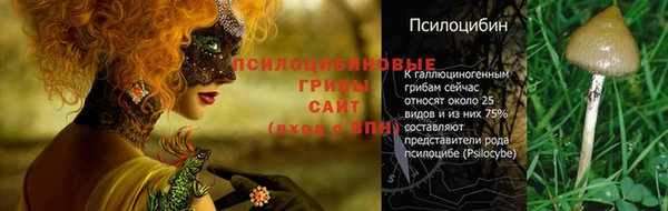 метадон Балабаново