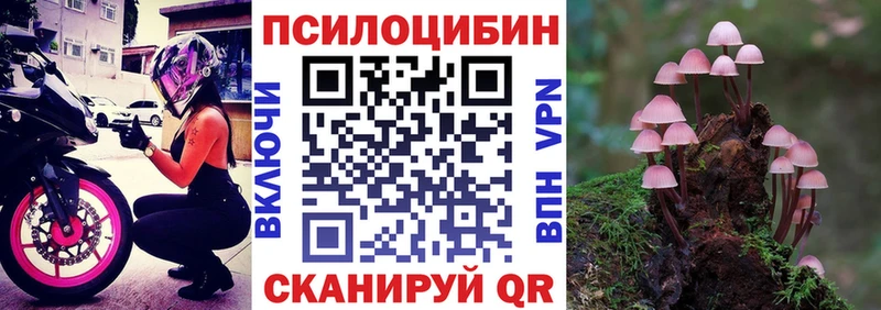 Псилоцибиновые грибы ЛСД  Рудня 